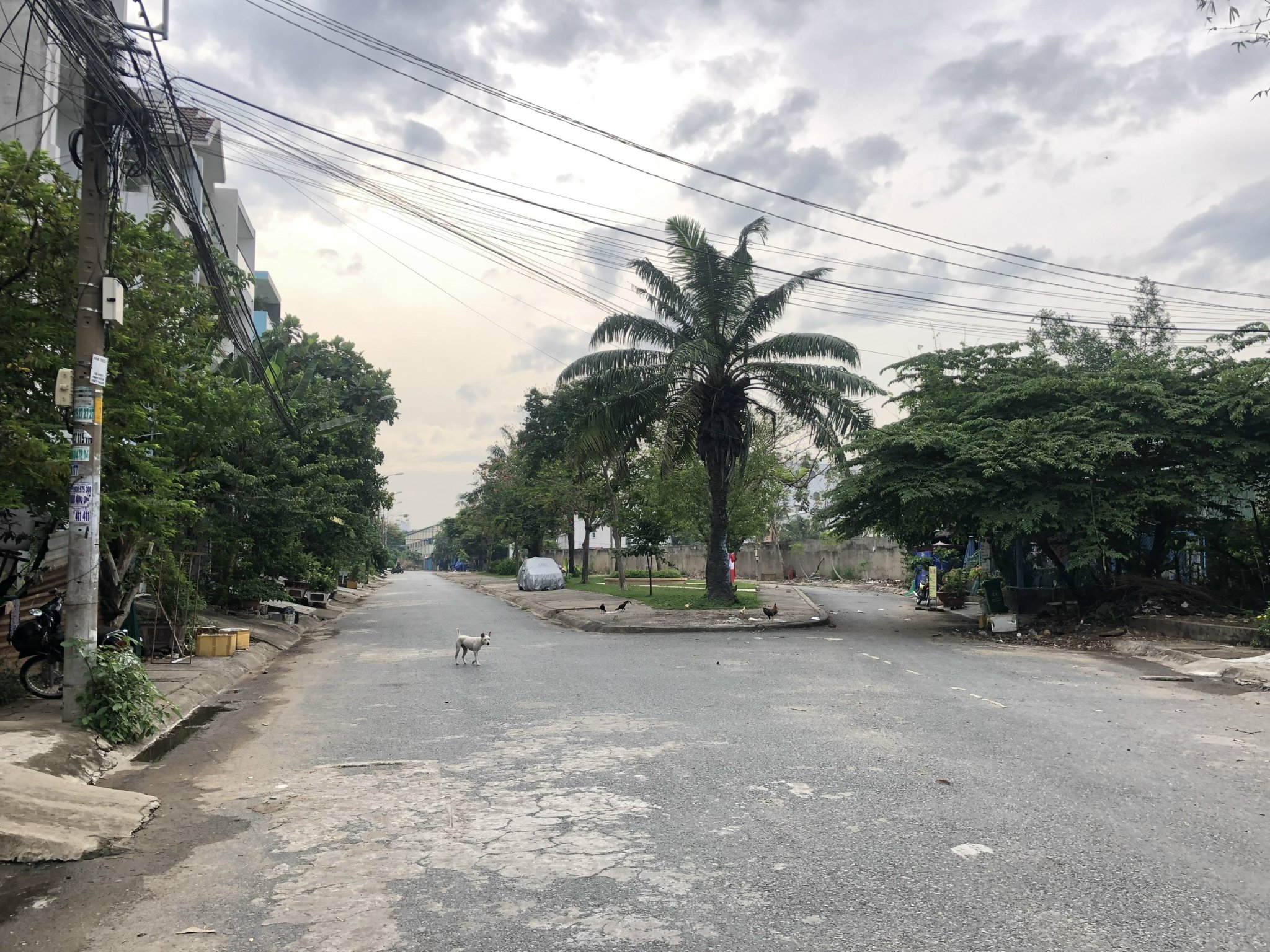 Bán Đất MTNB 12m Giáp An Dương Vương P16 Q8 - 5x17m