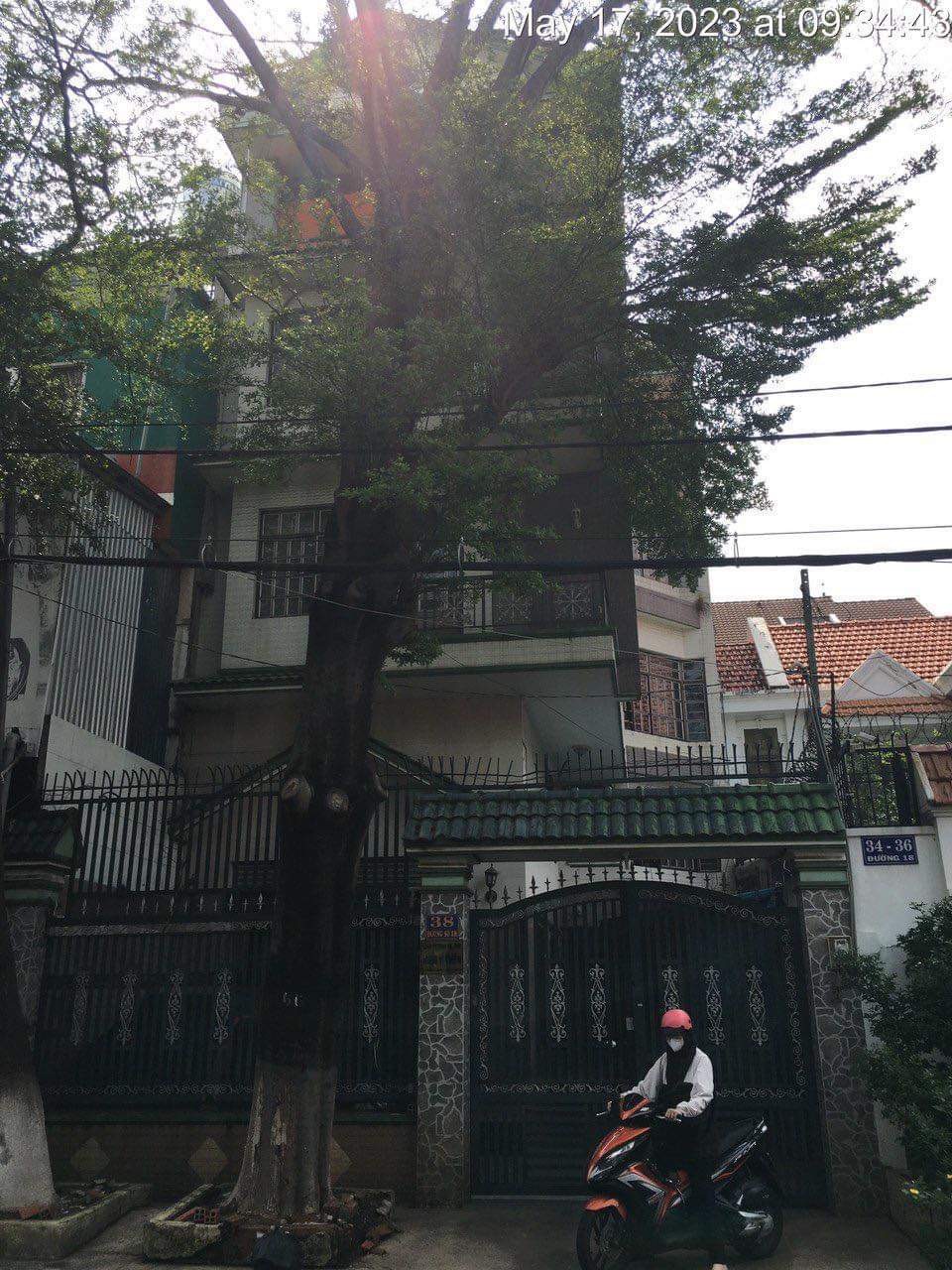 Bán Nhà MTNB Khu Tên Lửa - 8x21m